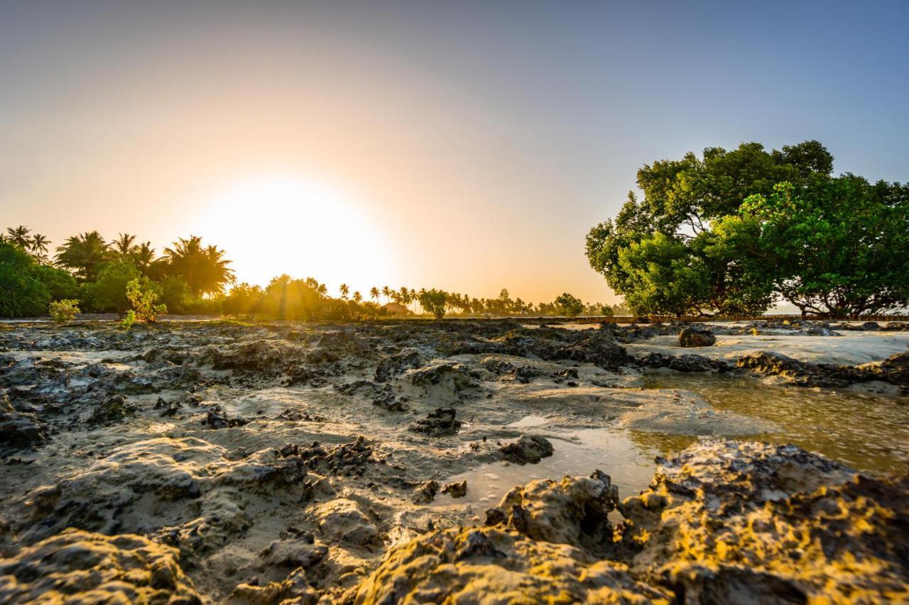 White Paradise Zanzibar Понгве Екстериор снимка